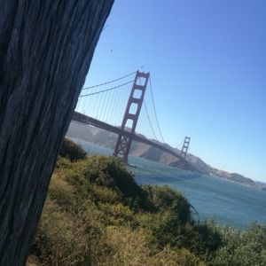 Meet your Posher, Lexi